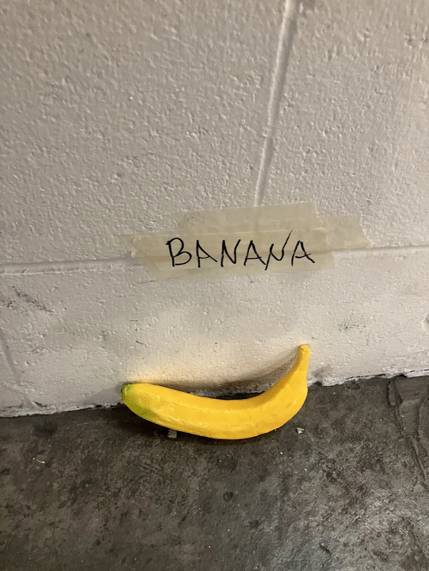1747766831_image