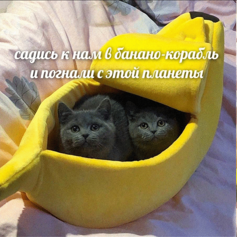 1690034707_image